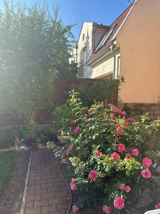 Family-Friendly Prague 5 Stay מראה חיצוני תמונה